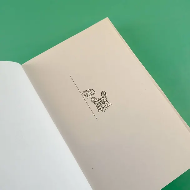 Книга Счастливая жизнь для осиротевших носочков (Мари Варей) — 7