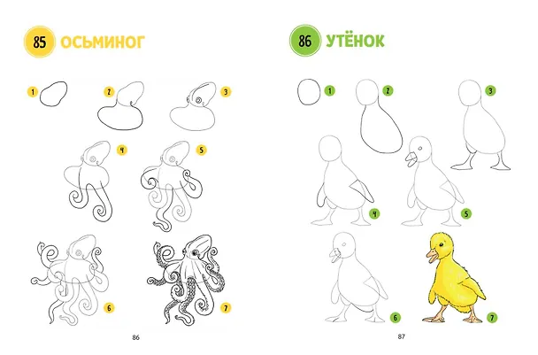 Книга Большая книга животных. 300 рисунков шаг за шагом (Лиз Эрцог) — 10