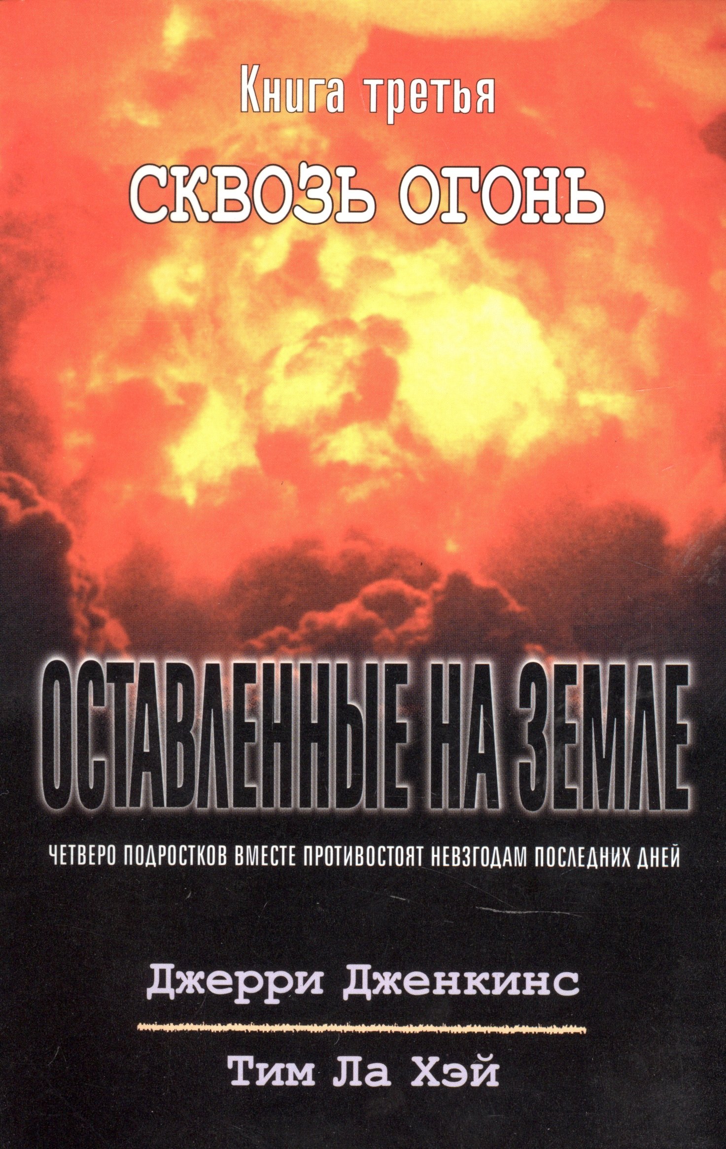 

Оставленные на земле. Книга 3. Сквозь огонь