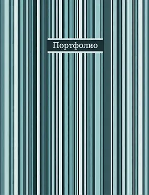 Портфолио универсальное Фактура полосы А4(253*310*25мм) на кольцах, 40 файлов ПВХ, обложка пластик 321881