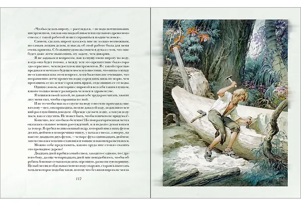 Книга Жизнь и удивительные приключения морехода Робинзон Крузо. Дэфо Д. (Даниэль Дефо) — 8
