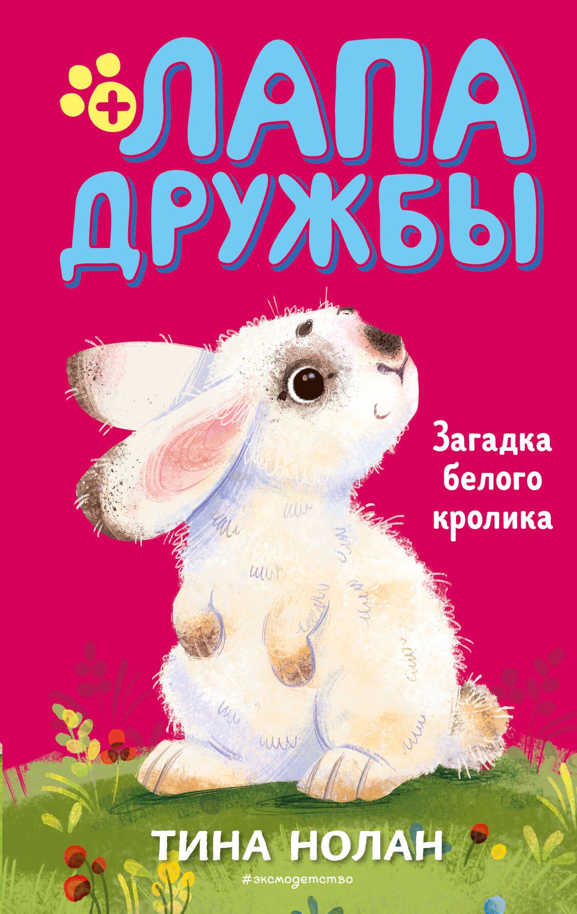 

Загадка белого кролика