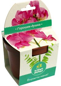 Набор для выращивания в горшочке Горошек (hpp-199) 2385756 — 1
