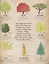 The Magic and Mystery of Trees — 2762129 — 2
