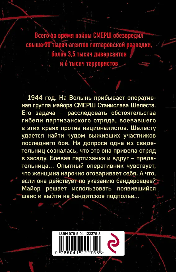 Книга Волынская мадонна (Александр Тамоников) — 2