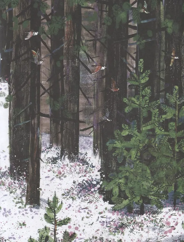 Книга На Север. Путешествие всед за чайкой (Анна Игнатова) — 4