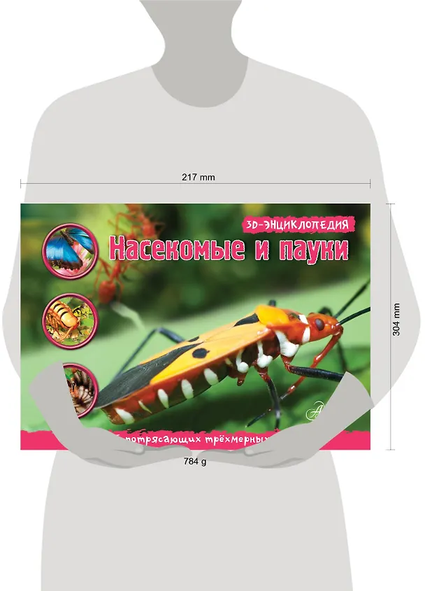 Книга НГ(под) 3D Насекомые, пауки, многоножки () — 4