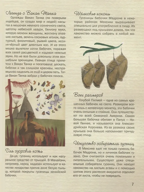 Книга Насекомые. Удивительный маленький мир (Паола Гримальди) — 5