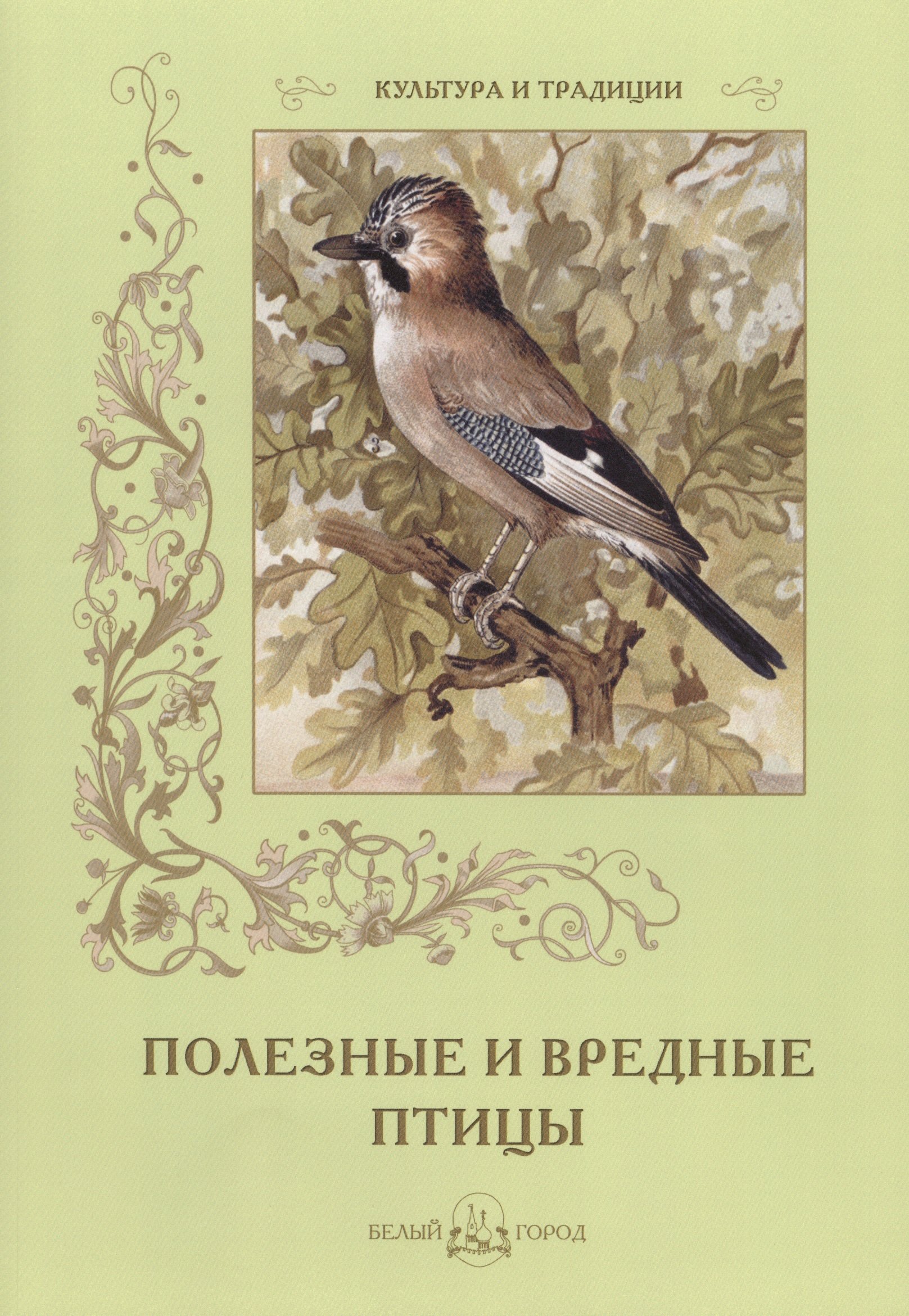 

Полезные и вредные птицы