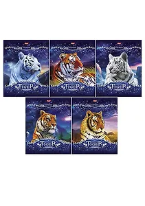 Тетрадь 48л кл. "Мистические тигры" выб.лак, тиснение фольгой, ассорти, Hatber