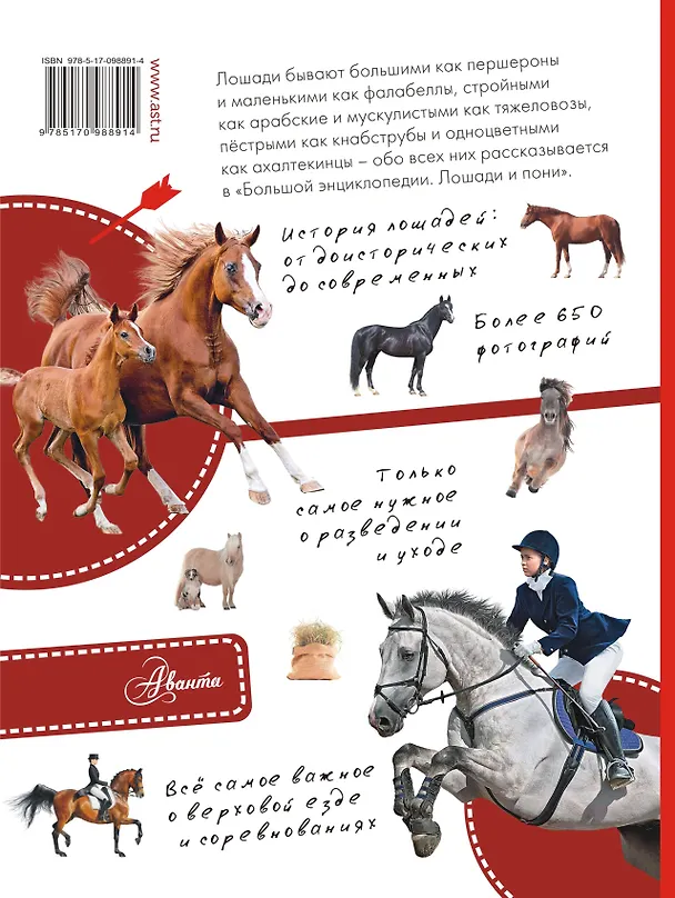 Книга Большая энциклопедия. Лошади и пони () — 2