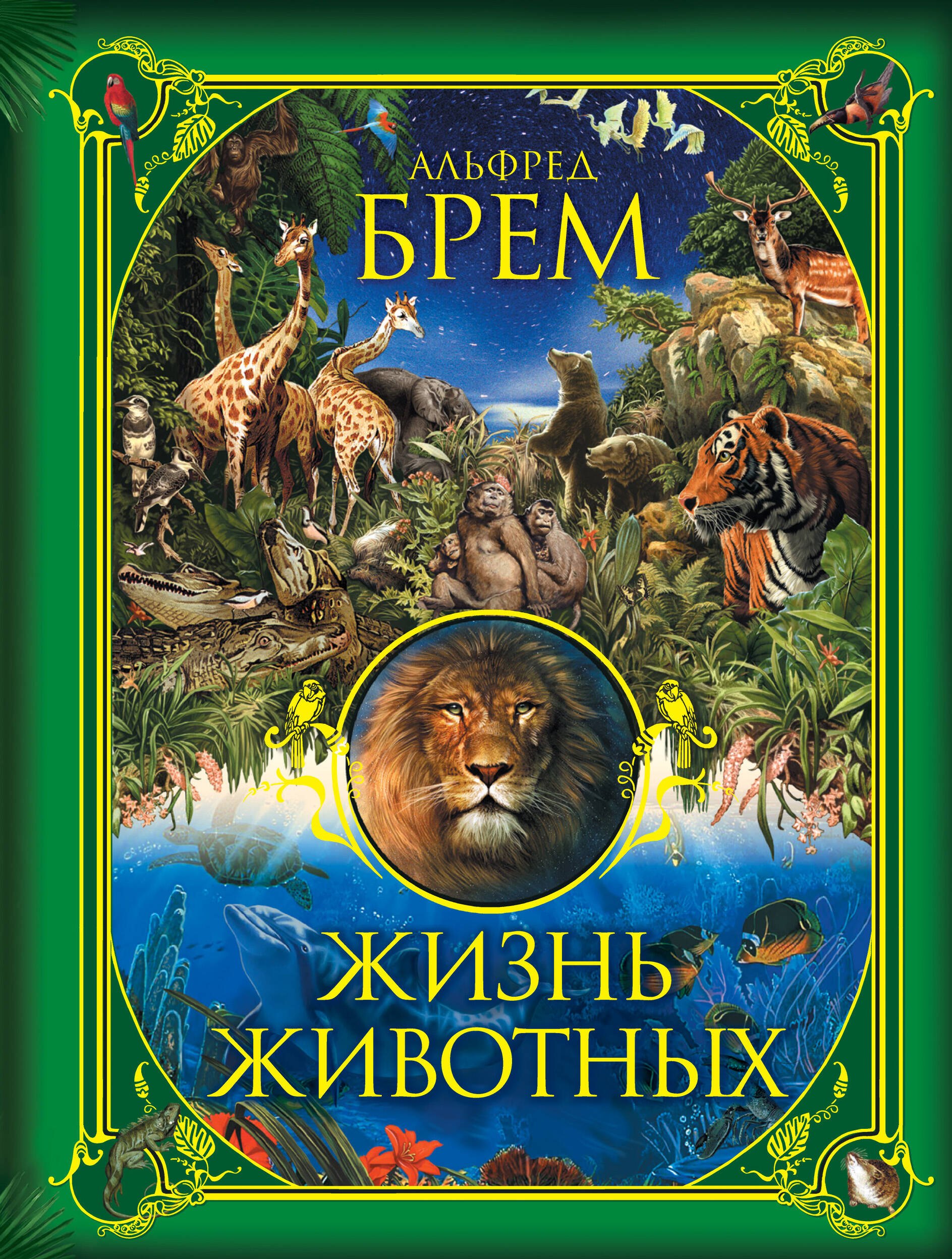

Жизнь животных