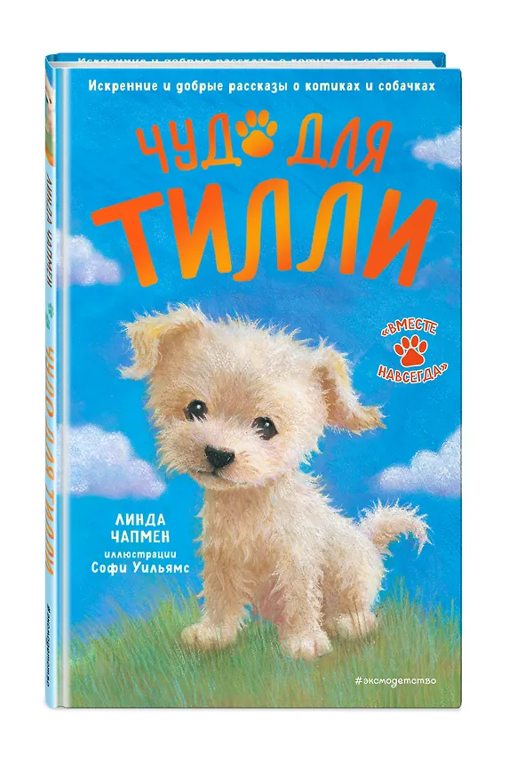 Книга Чудо для Тилли (выпуск 1) (Линда Чапмен) — 5