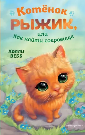 Котёнок Рыжик, или Как найти сокровище — 2964167 — 1