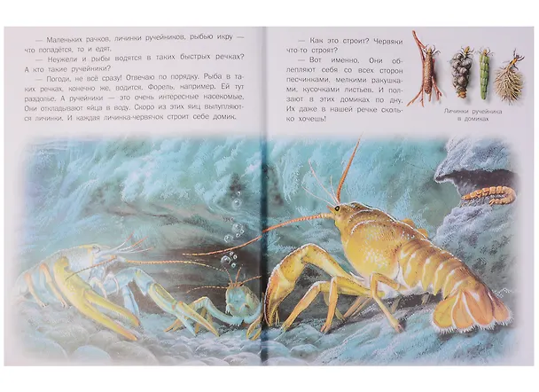 Книга Тенепад (Мария Введенская) — 4
