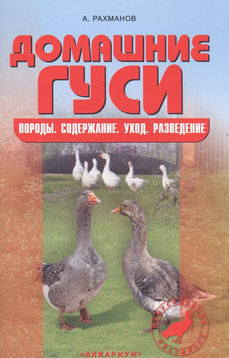 Домашние гуси. Содержание и разведение. (Александр Рахманов) - купить книгу  с доставкой в интернет-магазине «Читай-город». ISBN: 978-5-4238-0322-3