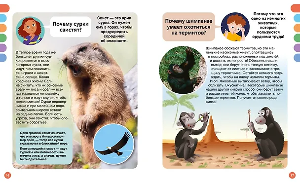 Книга Почему? Вопросы и ответы обо всём на свете (Кэти Франко) — 14