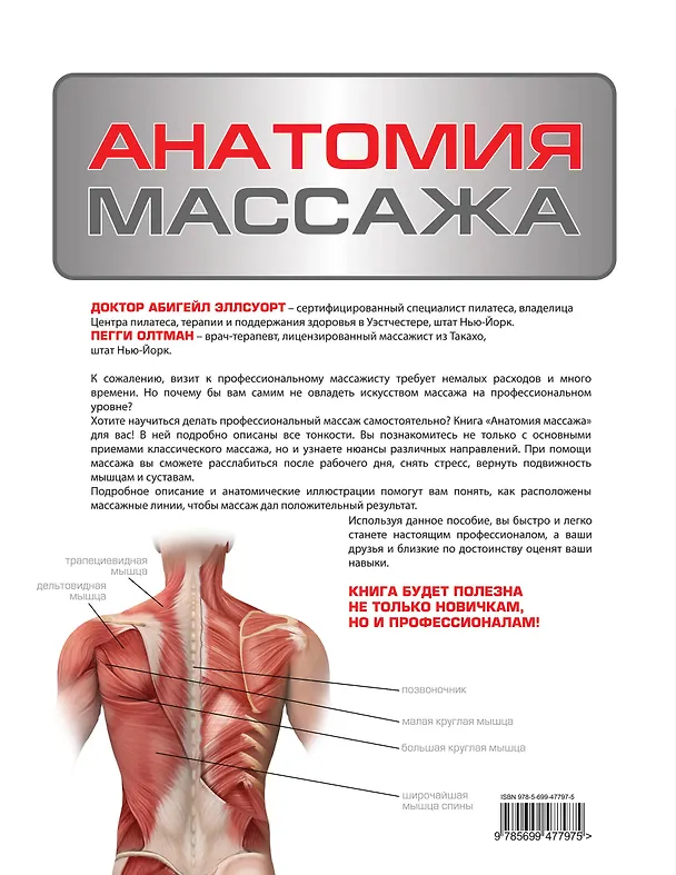 Книга Анатомия массажа (Абигейл Эллсуорт) — 2