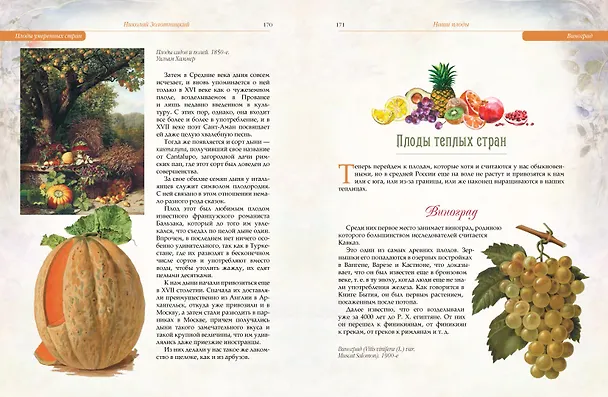 Книга Русский сад и огород. Занимательная история плодов и овощей (Николай Золотницкий) — 9