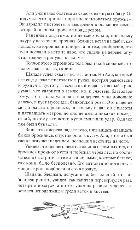 Книга Капитан "Ямуны" (Эмилио Сальгари) — 6