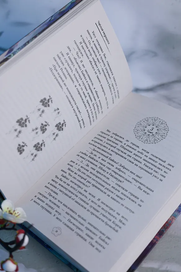 Книга Частная медицина. Новелла (Ирина Сон) — 14