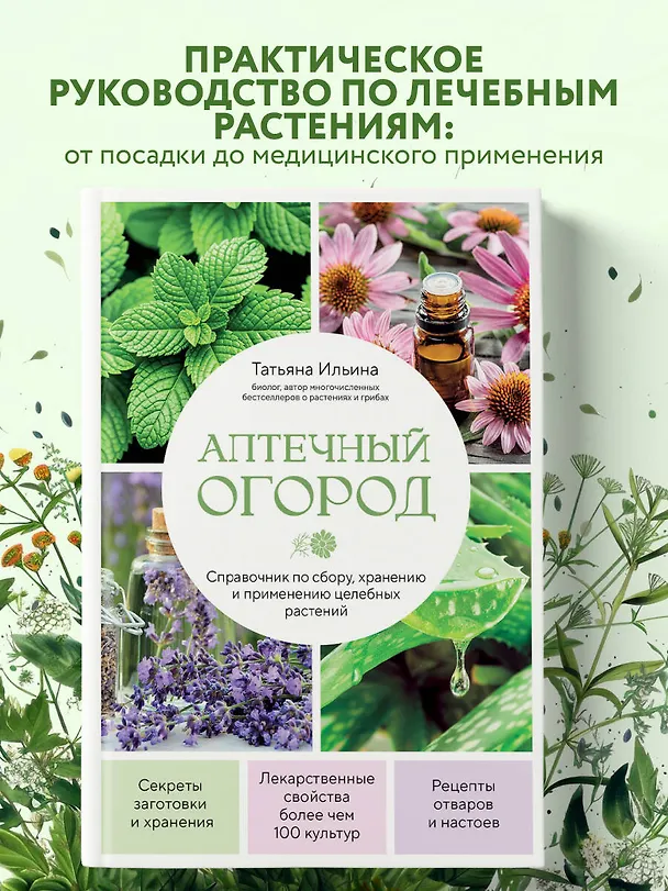 Книга Аптечный огород. Справочник по сбору, хранению и применению целебных растений (новое оформление) (Татьяна Ильина) — 5