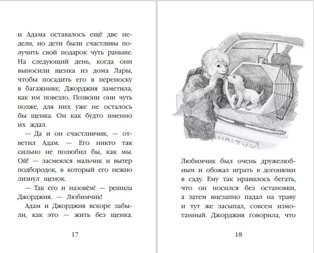 Щенок Любимчик, или Давай мириться! : повесть (Холли Вебб) - купить книгу с  доставкой в интернет-магазине «Читай-город». ISBN: 978-5-699-81198-4