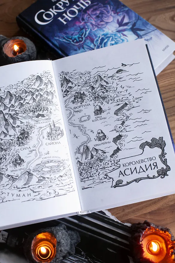 Книга Сокрушая ночь (Кэтрин Куинн) — 13