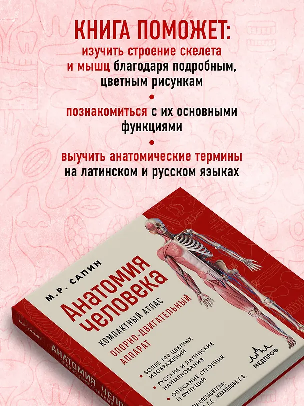 Книга Анатомия человека. Компактный атлас. Опорно-двигательный аппарат (Михаил Сапин) — 8