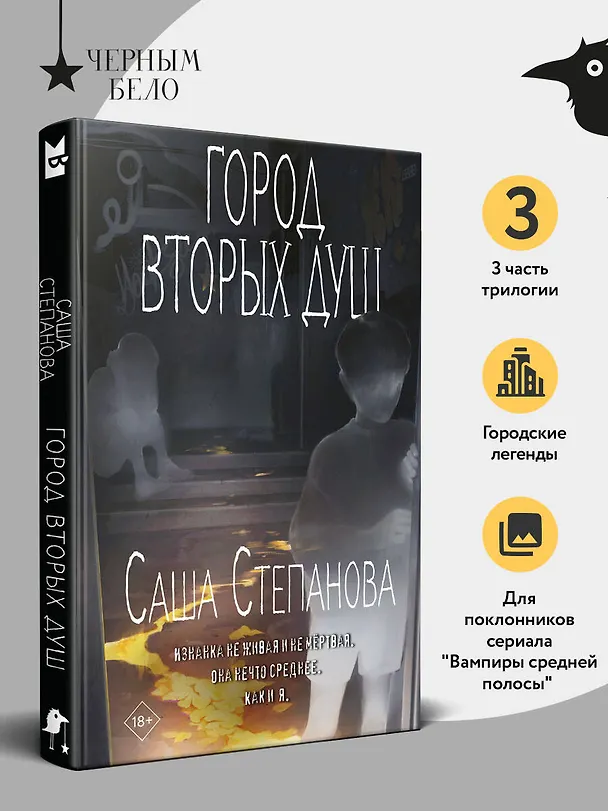 Книга Город вторых душ (Саша Степанова) — 6