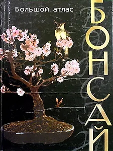 Бонсай Большой атлас (черн). Ф.Х.А. де ла Пас. (БММ)