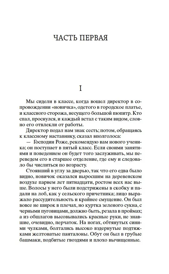 Книга Госпожа Бовари (Гюстав Флобер) — 8