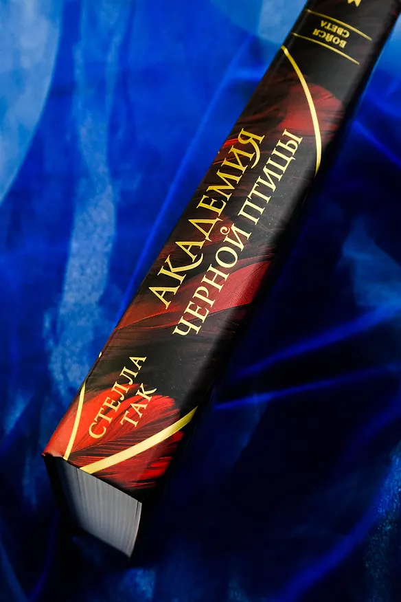 Книга Академия Черной птицы. Бойся света (Стелла Алиссия Так) — 6