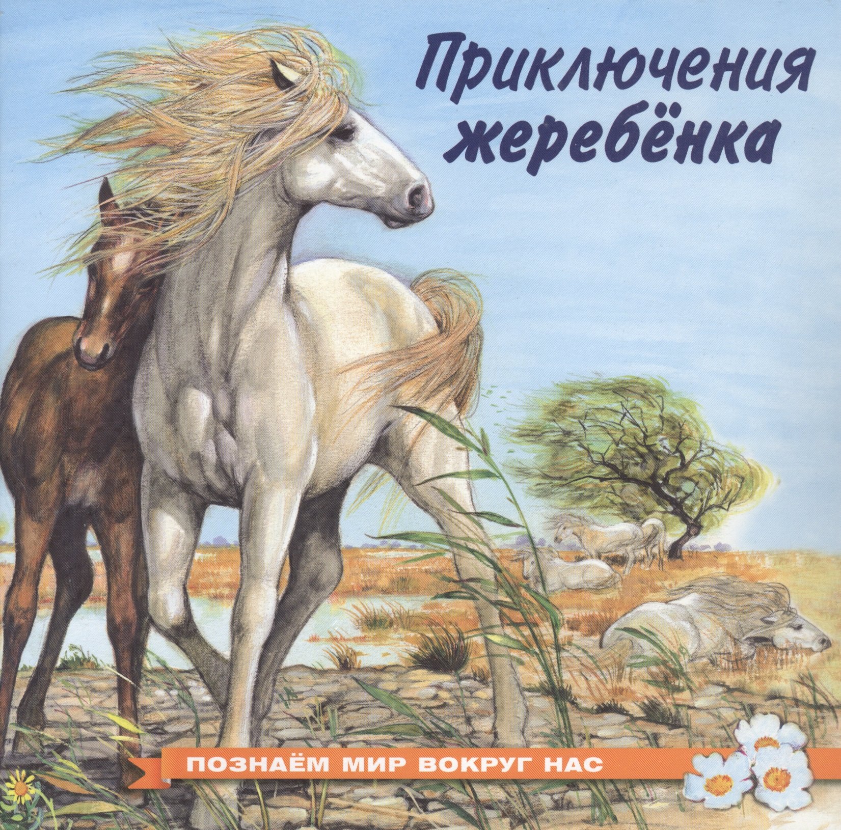 

Приключения жеребёнка
