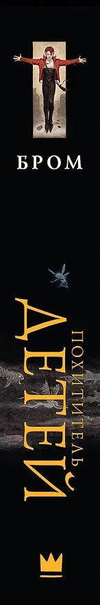 Книга Похититель детей (Джеральд Бром) — 4