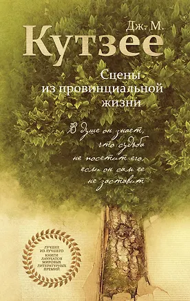 Книга Сцены из провинциальной жизни (Джон Кутзее)