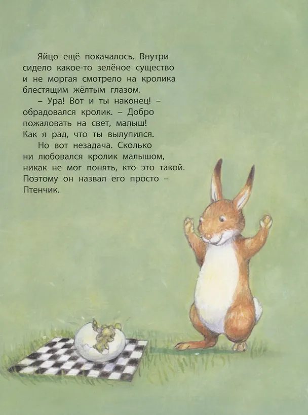 Книга Как подружиться с драконом (Эстер Мишкотт) — 5
