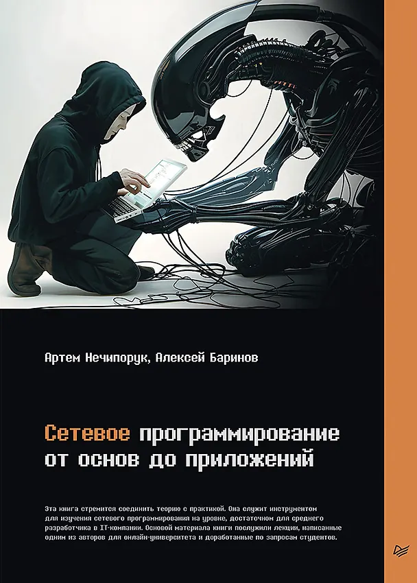Книга Сетевое программирование. От основ до приложений (Артем Нечипорук, Алексей Баринов) — 1