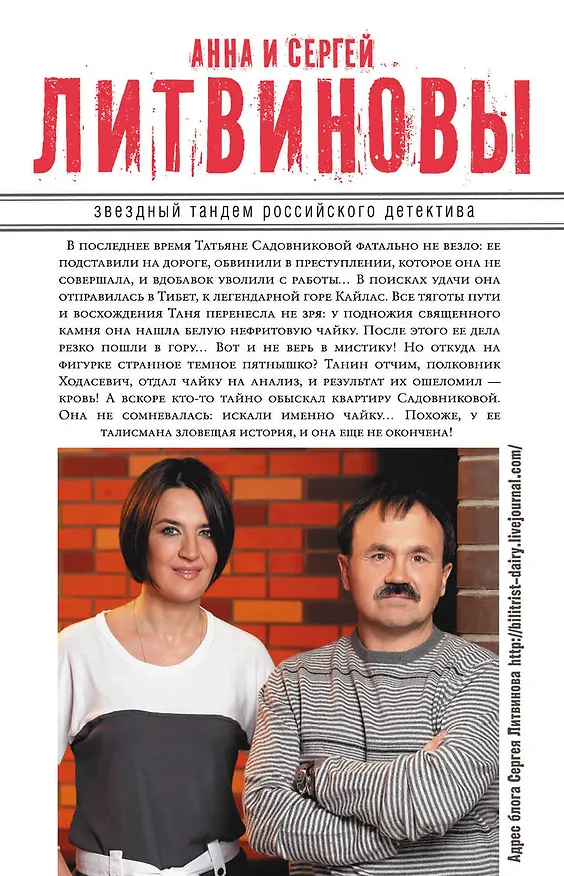Книга Незримая связь: роман (Сергей Литвинов, Анна Литвинова) — 2