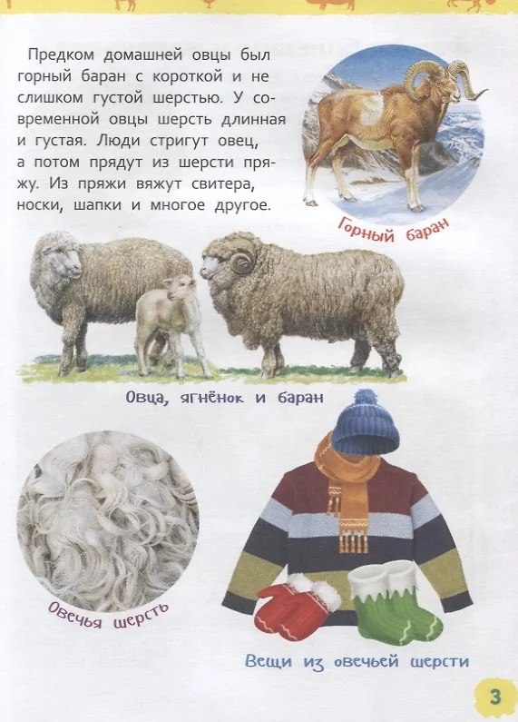 Книга Животные фермы. Энциклопедия для детского сада (Ирина Травина) — 2