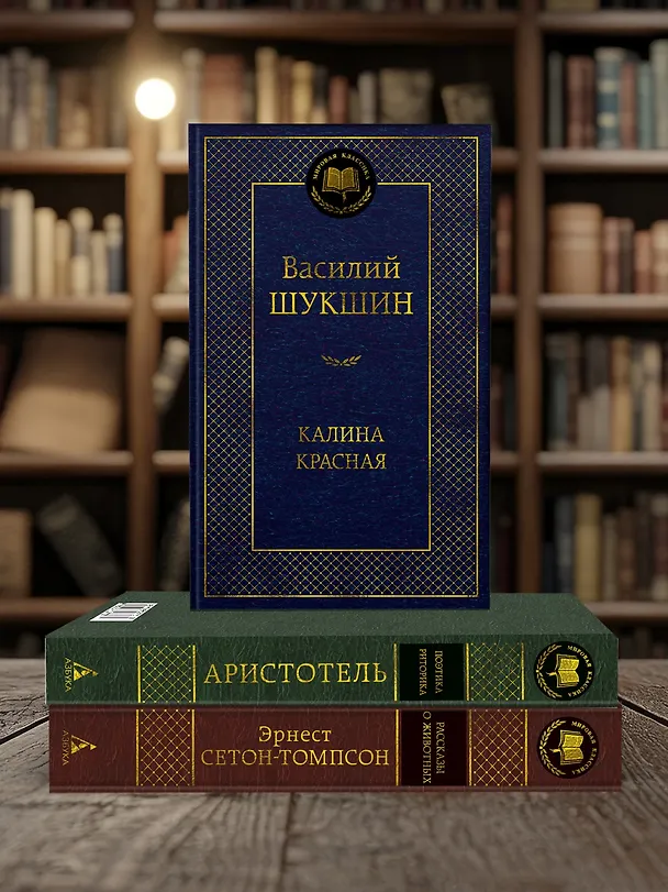 Книга Калина красная (Василий Шукшин) — 6