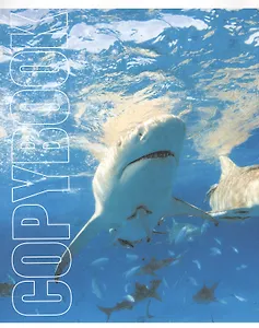 Тетрадь в линейку Listoff, "Морские жители", 40 листов, в ассортименте