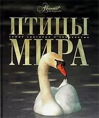 Птицы мира — 2089076 — 1