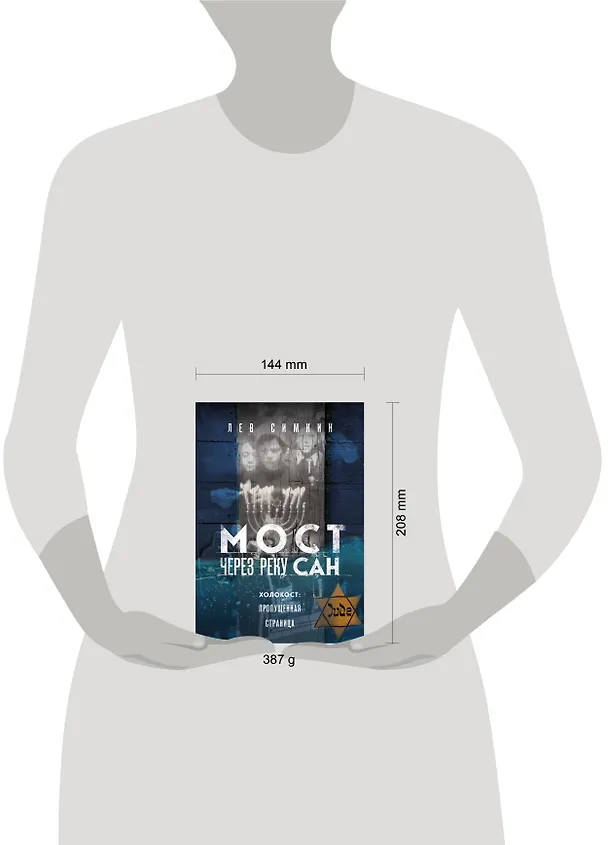 Книга Мост через реку Сан. Холокост: пропущенная страница (Лев Симкин) — 13