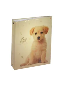 Тетрадь 160л кл. "Щенок" на кольцах, офсет, 7БЦ, смен.блок, глянц.ламин., инд.уп., Альт