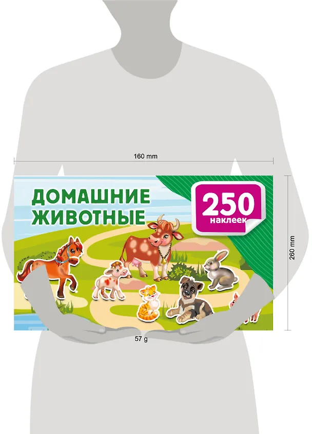 Книга Домашние животные () — 15