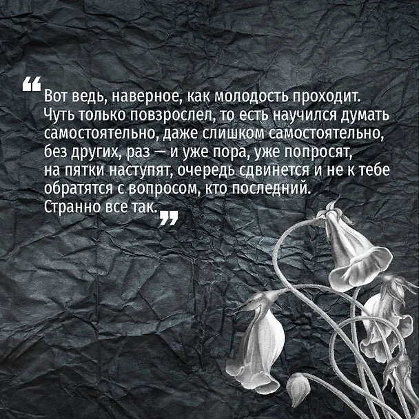 Книга Апоптоз (Наташа Гринь) — 13