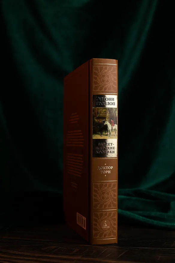 Книга Барсетширские хроники. Книга 2. Доктор Торн (Энтони Троллоп) — 13