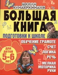 Большая книга подготовки к школе для детей 5-6 лет. Обучение грамоте счет логи — 2208111 — 1