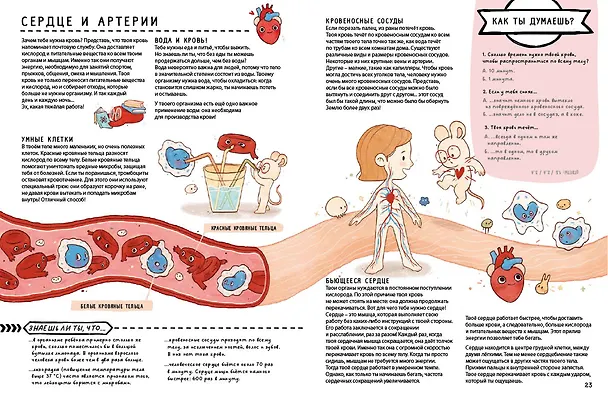 Книга Книга с секретами. Секреты тела человека () — 4